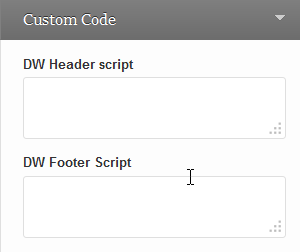 wordpress_news_theme_custom_code custom code
