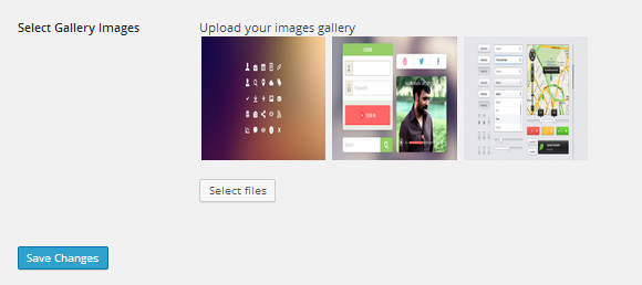 Upload Gallery Images for Shop page