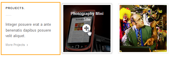 wordpress_news_theme_dw_simplex_project_block_frontend Project block