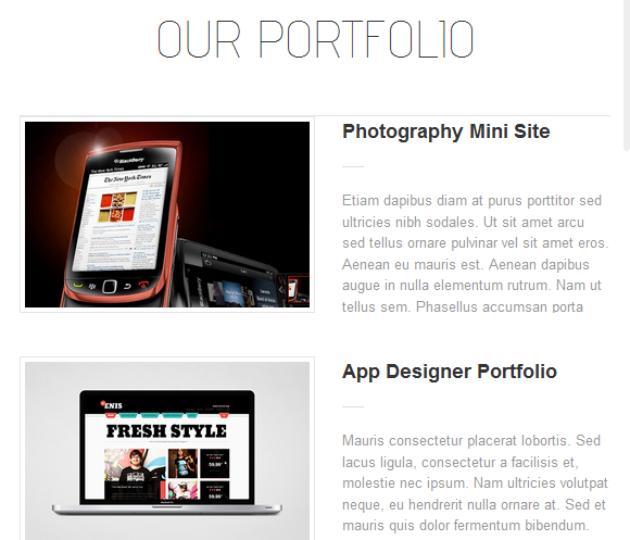 wordpress_news_theme_dw_simplex_portfolio_on_frontend The Portfolio Page
