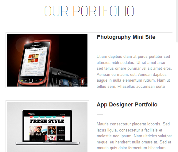 The Portfolio Page