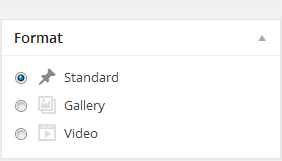 wordpress_news_theme_dw_fixel_post_format Post Formats