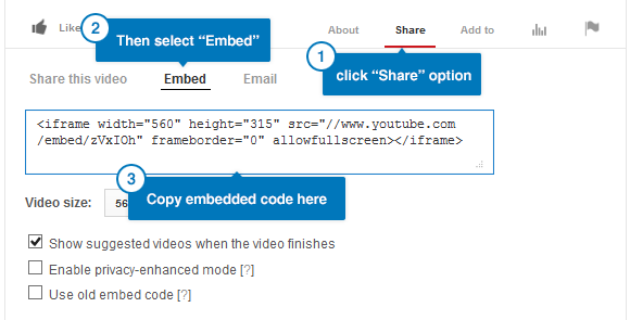 wordpress_news_theme_dw_wall_copy_embedded_code copy-embedded-code