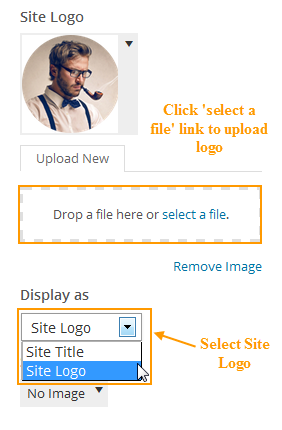 wordpress_news_theme_dw_minion_display_as_site_logo Display as site logo