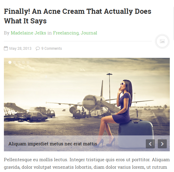 wordpress_news_theme_dw_minion_gallery_post_frontend Gallery Posts