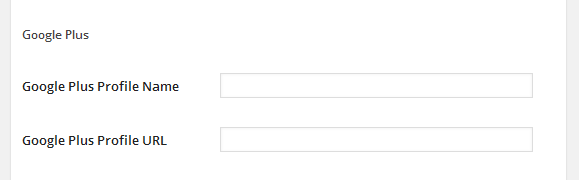 wordpress_news_theme_dw_fixel_google_plus_settings Google Plus Settings