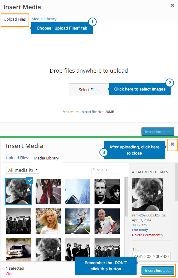 wordpress_theme_dw_wall_upload_image Upload Image