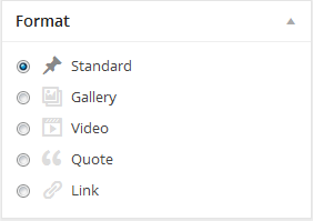 wordpress_news_theme_dw_minion_all_post_formats Post Formats
