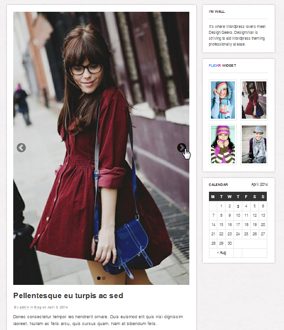 wordpress_theme_dw_wall_gallery_post Gallery Post