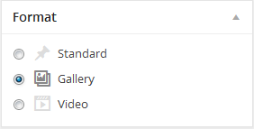 wordpress_news_theme_dw_fixel_select_format_as_gallery Select Post Format As Gallery