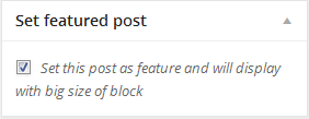 wordpress_news_theme_dw_fixel_set_featured_post Set Featured Post