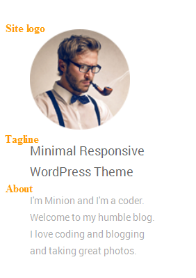 wordpress_news_theme_dw_minion_site_title_tagline_frontend Frontend Appearance