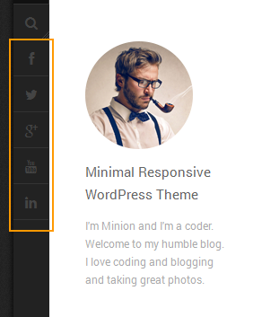 wordpress_news_theme_dw_minion_social_links social links