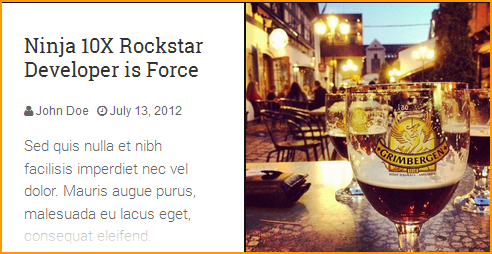 wordpress_news_theme_dw_fixel_standard_format standard post formay