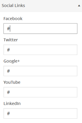 wordpress_ecommercer_theme_dw_trendy_social_link_settings Social Links Settings