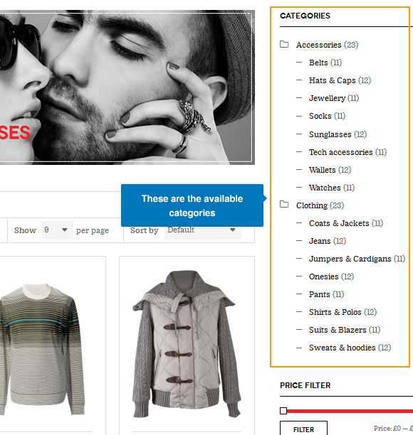 wordpress_ecommercer_theme_dw_trendy_all_the_categories_on_sidebar All the available categories