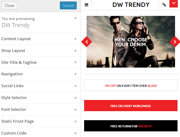 wordpress_ecommercer_theme_dw_trendy_customize_section Customize Section