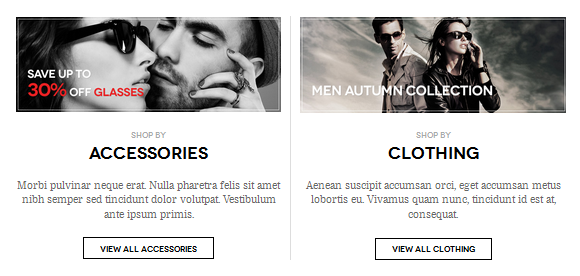 DW Woocommerce Category info widget