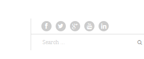 wordpress_ecommercer_theme_dw_trendy_social_links Social Links