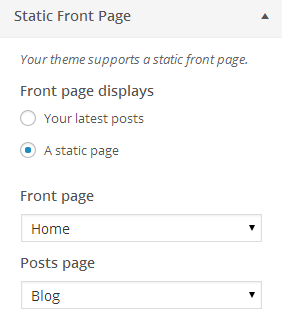 wordpress_ecommercer_theme_dw_trendy_static_front_page_settings Static Front Page Settings