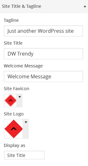 wordpress_ecommercer_theme_dw_trendy_tagline_title_settings Settings of Site Tagline and Title