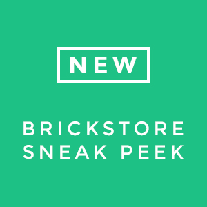 Sneak Peek: First screenshot of Our DW BrickStore WooCommerce Theme ...