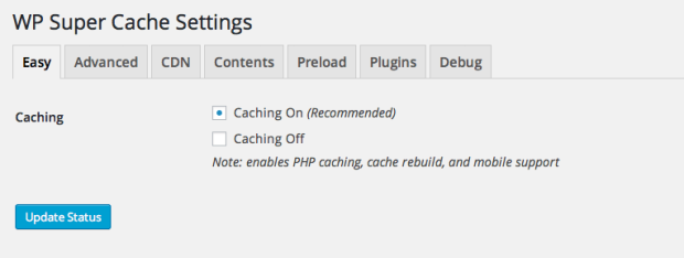 WP Super Cache Plugin Setting