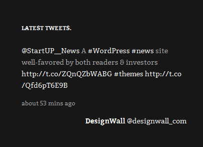wordpress-themes-dw-kido-latest-tweets-in-frontend