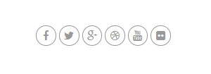 wordpress-themes-dw-jason-social-icons