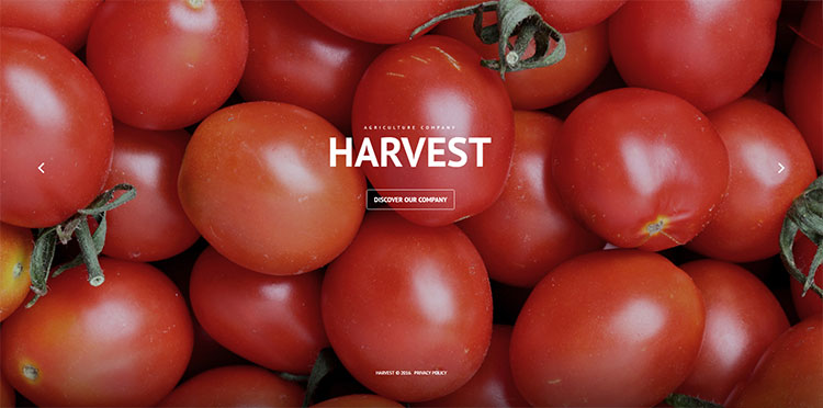 Agriculture Company WordPress Theme