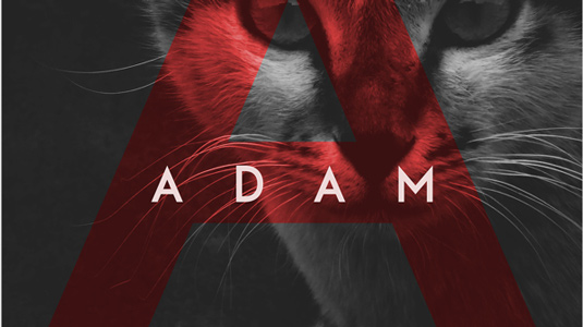 adam-font