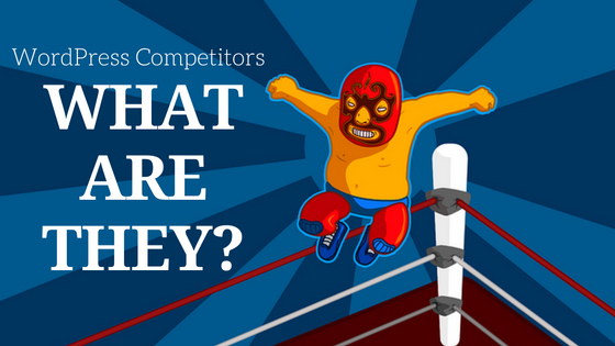 WordPress-competitors