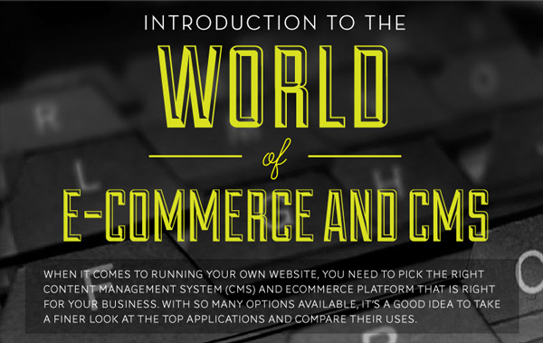 World CMS and eCommerce Platform Infographic
